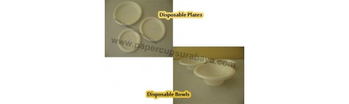 Disposable Plates & Bowls 